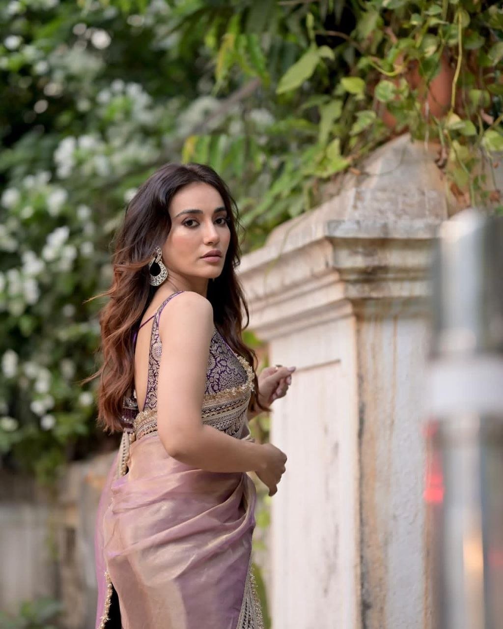 Royal Heritage Embroidered Saree with Intricate Zari Border Detailing - Surat Wholesale Ethnic Wear (Photo 1)