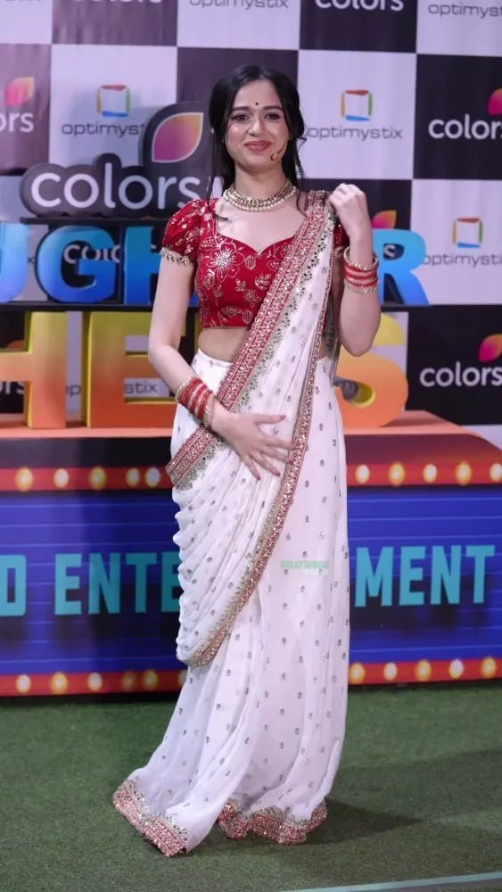 Regal Tradition Floral Embroidered Saree with Intricate Sequin Border and Designer Blouse