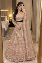 Intricate Chikankari Sequined Net Lehenga Set with Embellished Belt - Surat Wholesale Ethnic Wear (Photo 2)