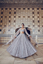 Dazzling Micro-Sequin Embellished Bridal Lehenga Choli Set