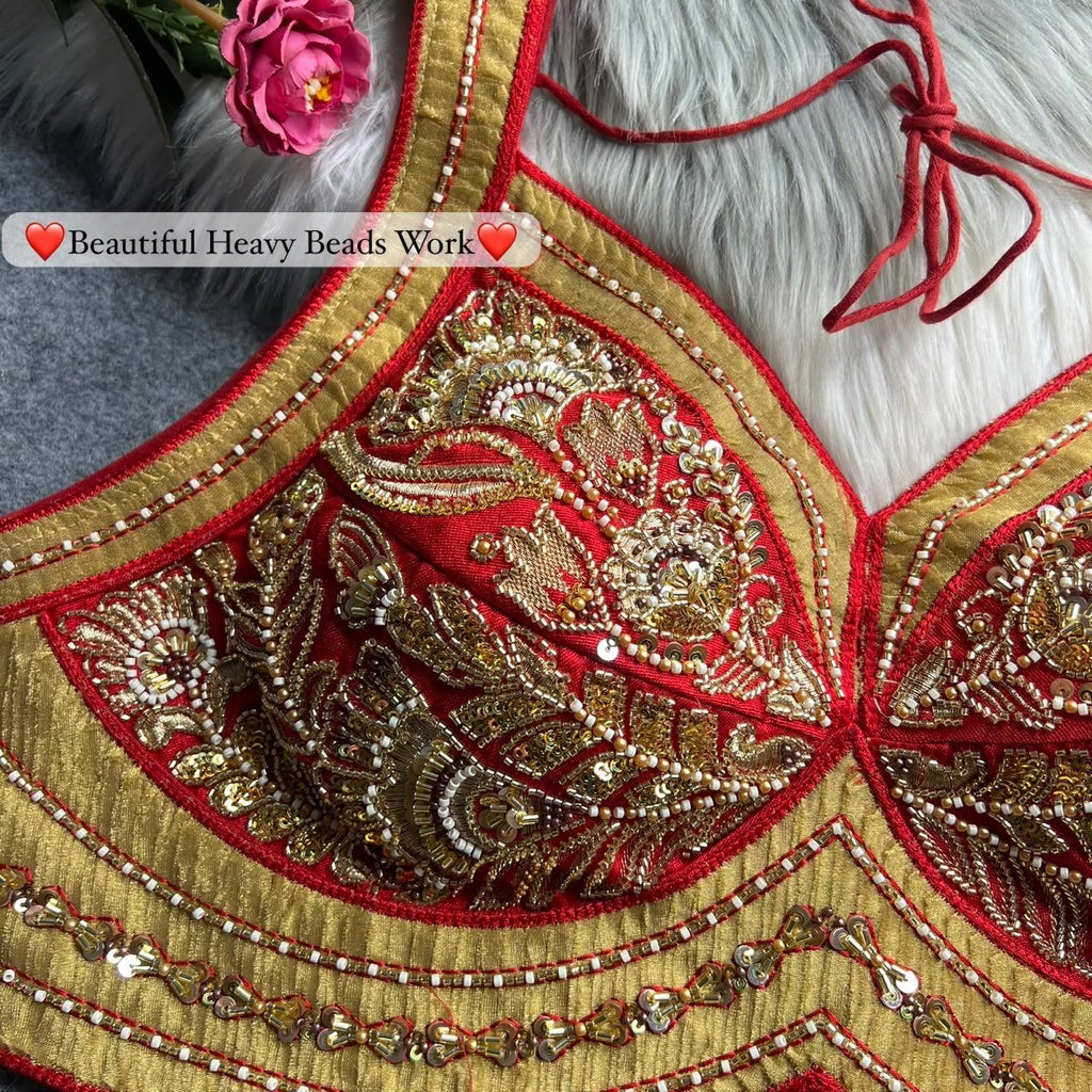 Opulent Luxury Heavy Zari Embroidered Sleeveless Blouse