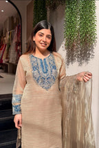 Subtle Grace Embroidered Yoke Tissue Tissue Silk Kurta Set - Surat Wholesale Ethnic Wear (Photo 4)