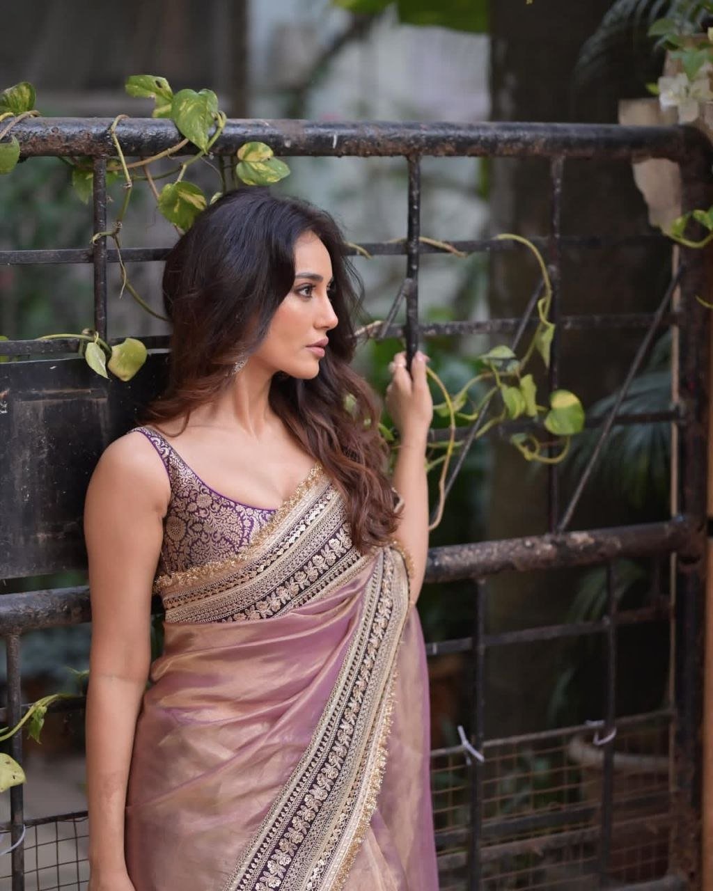 Royal Heritage Embroidered Saree with Intricate Zari Border Detailing - Surat Wholesale Ethnic Wear (Photo 4)