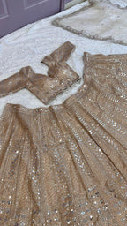 Glamorous Heavily Sequined Designer Lehenga Choli with Net Dupatta - Surat Wholesale Ethnic Wear (Photo 5)