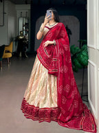 Celebrating Gujarati heritage with a touch of modern elegance