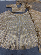 Heavy Mirror Work Sequined Lehenga Set with Tasseled Blouse