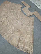 Intricate Chikankari Sequined Net Lehenga Set with Embellished Belt - Surat Wholesale Ethnic Wear (Photo 9)