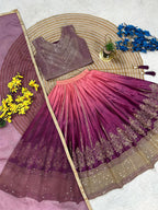 Fashion Factory Kids Soft Chinon Silk Lehenga Choli Set with Butterfly Net Dupatta