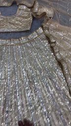 Heavy Mirror Work Sequined Lehenga Set with Tasseled Blouse